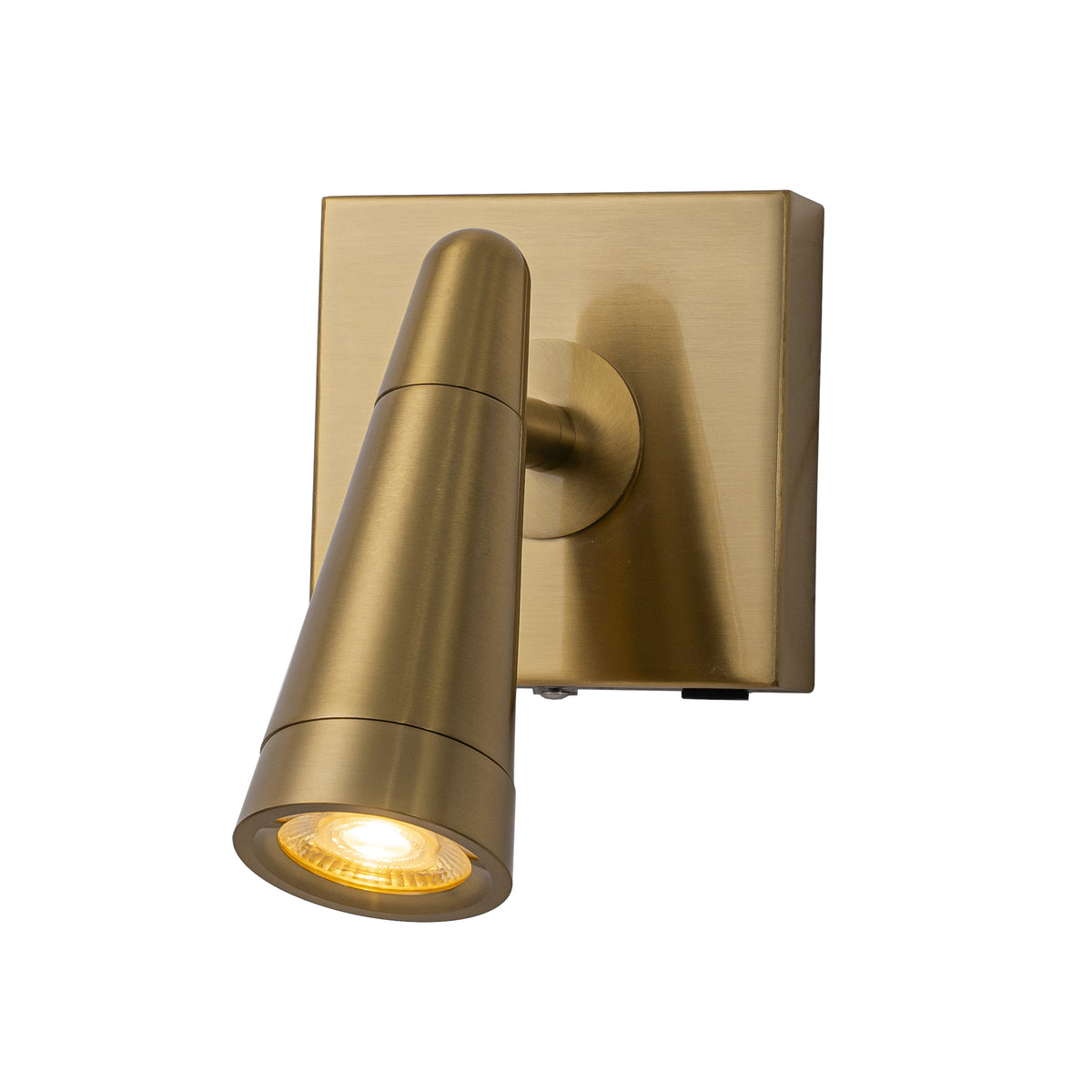 Rechargeable Cordless Wall Sconce USB-C LED Brass Spot Light with Remote and Stepless Touch Dimming Adjustable Head Accent Light for Bedroom, Hallway, Decor