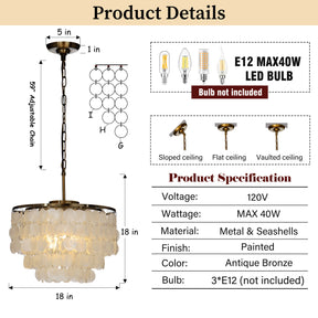 Antique Gold Coastal Capiz Seashells Chandelier