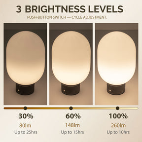 Modern Opal Glass Cordless Rechargeable Table Lamp Unique/Statement Dimmable LED Bedside Lamp For Cozy Bedroom