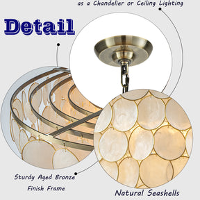 OpenBox 5-Light 24'' Wide Modern Coastal Aged Bronze Natural Capiz Shell Tiered Chandelier Vintage Glam Pendant